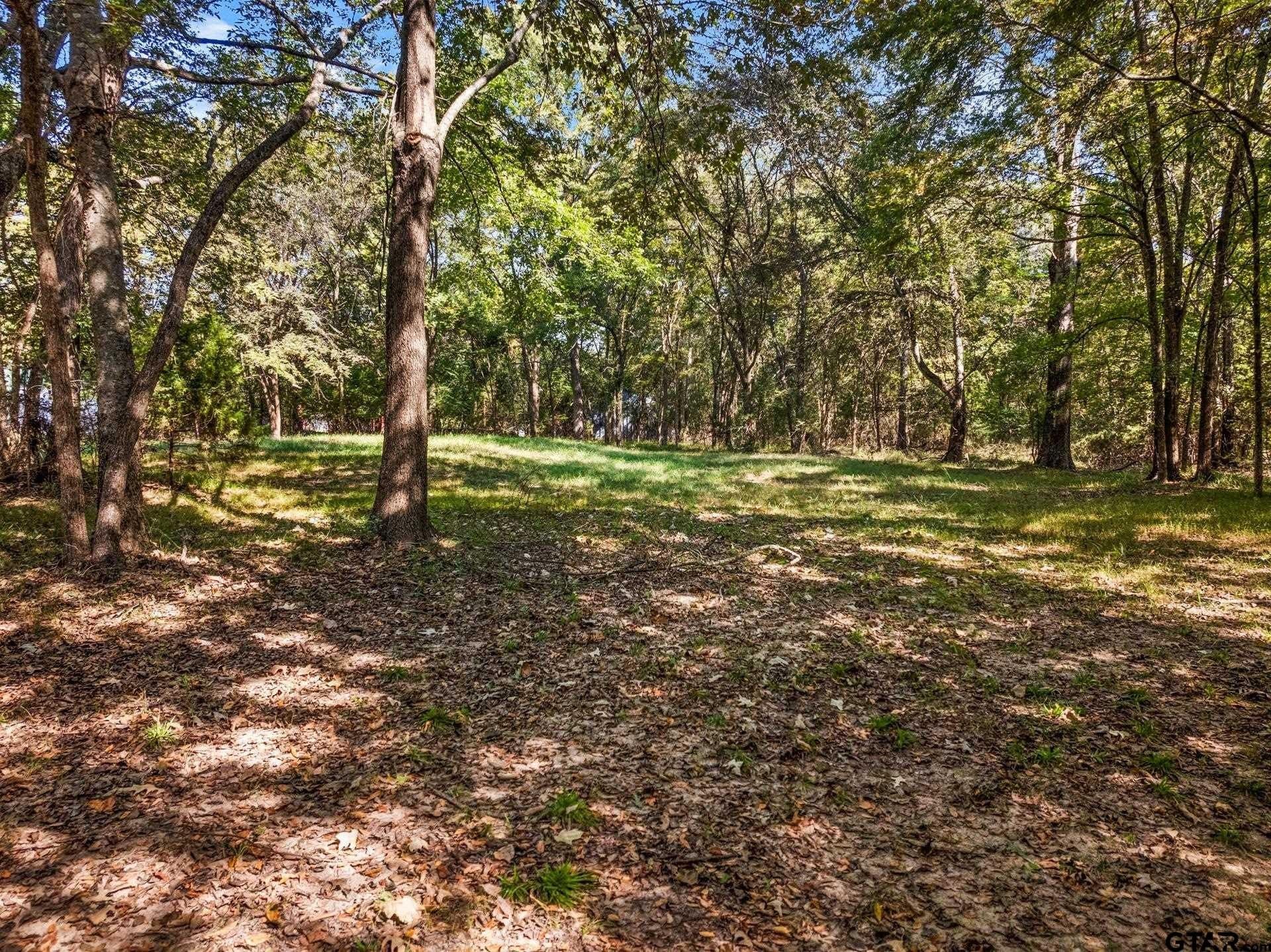 0.96 acres in Camp County - photo 2