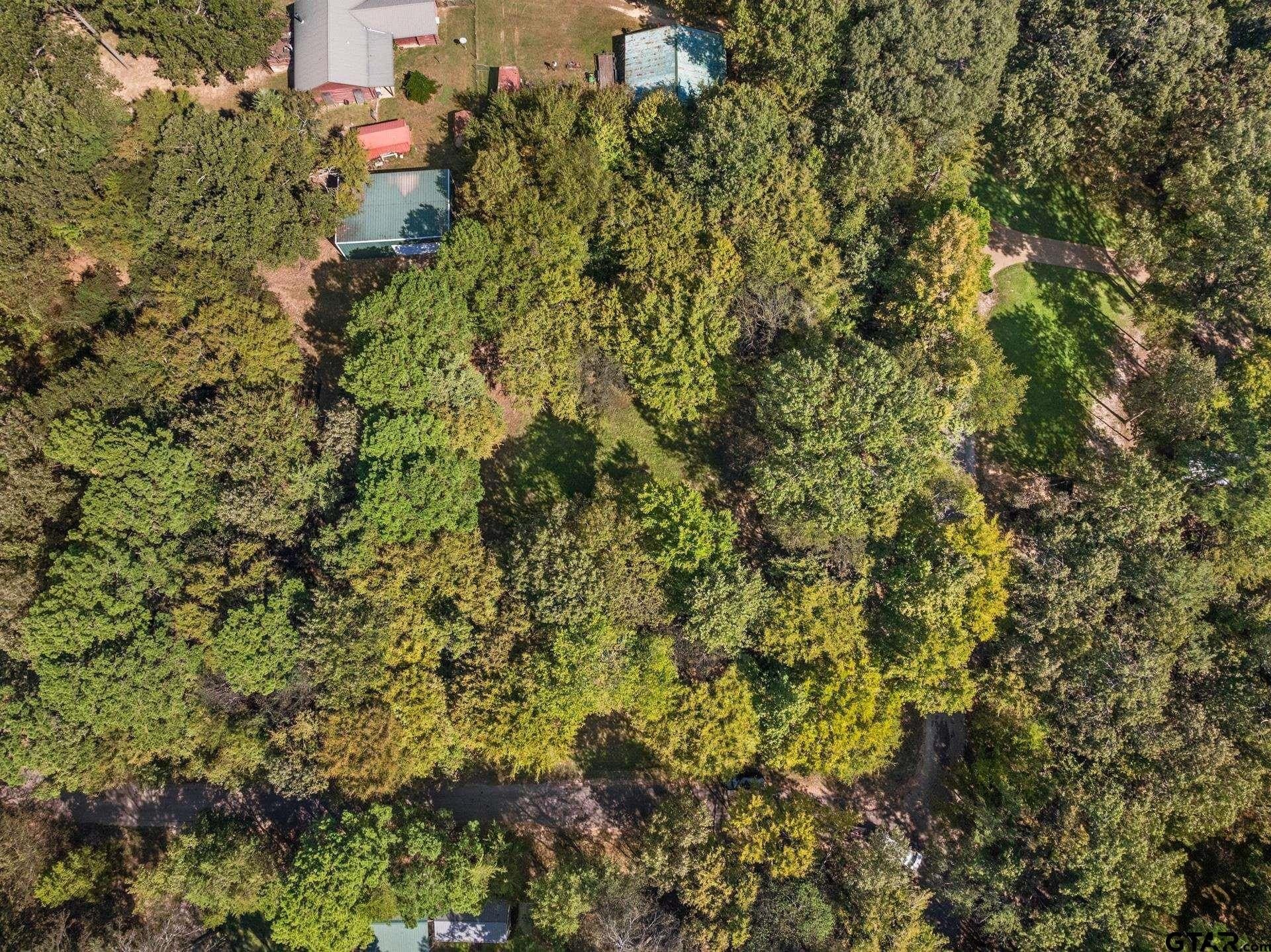 0.96 acres in Camp County - photo 6
