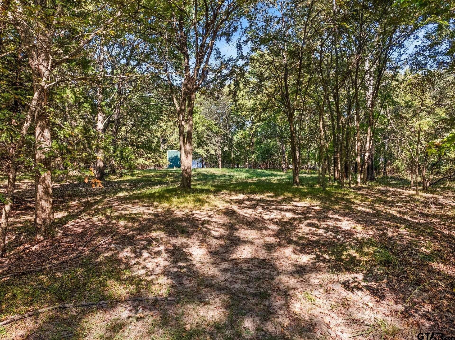 0.96 acres in Camp County - photo 3