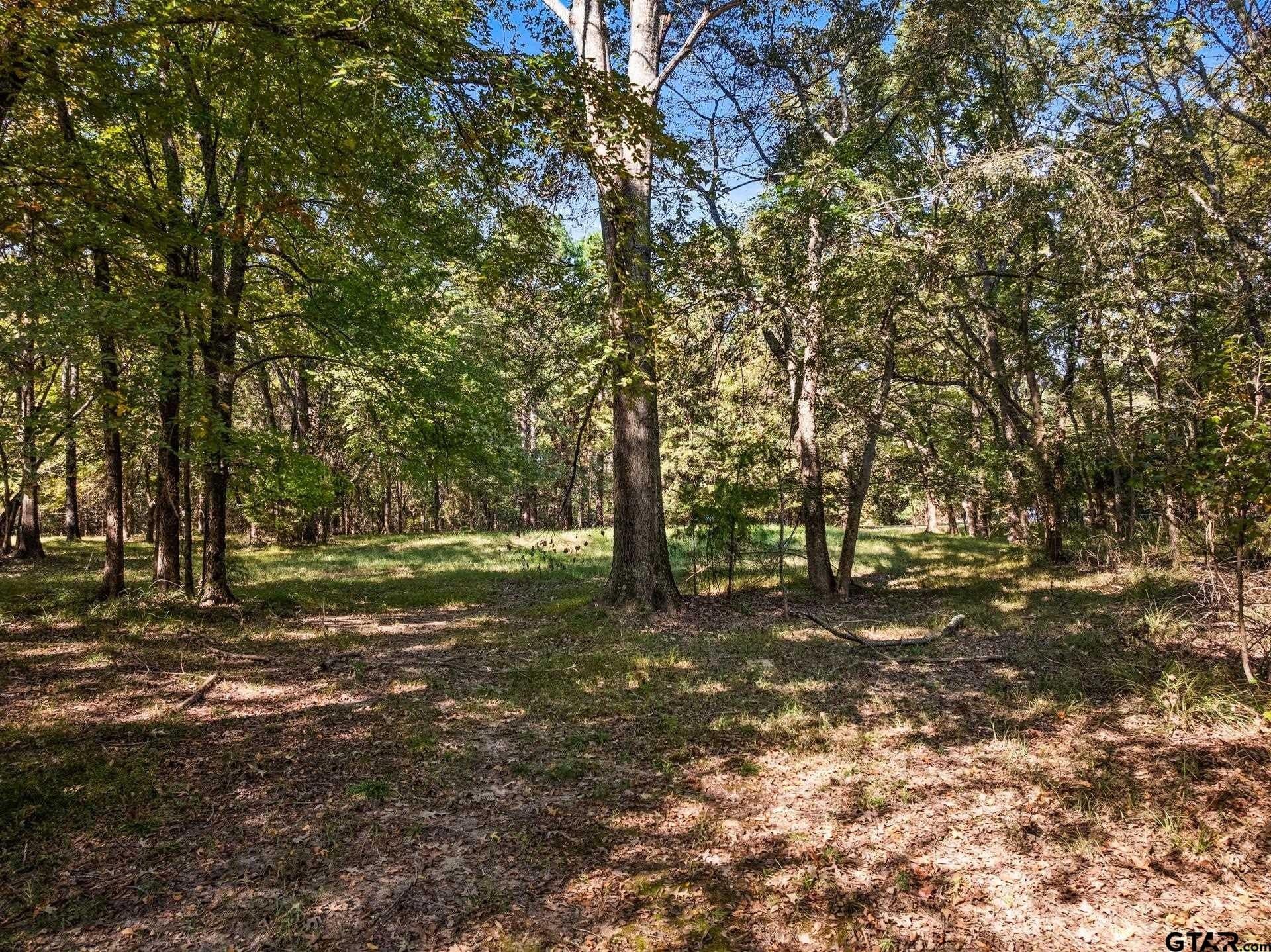 0.96 acres in Camp County - photo 5