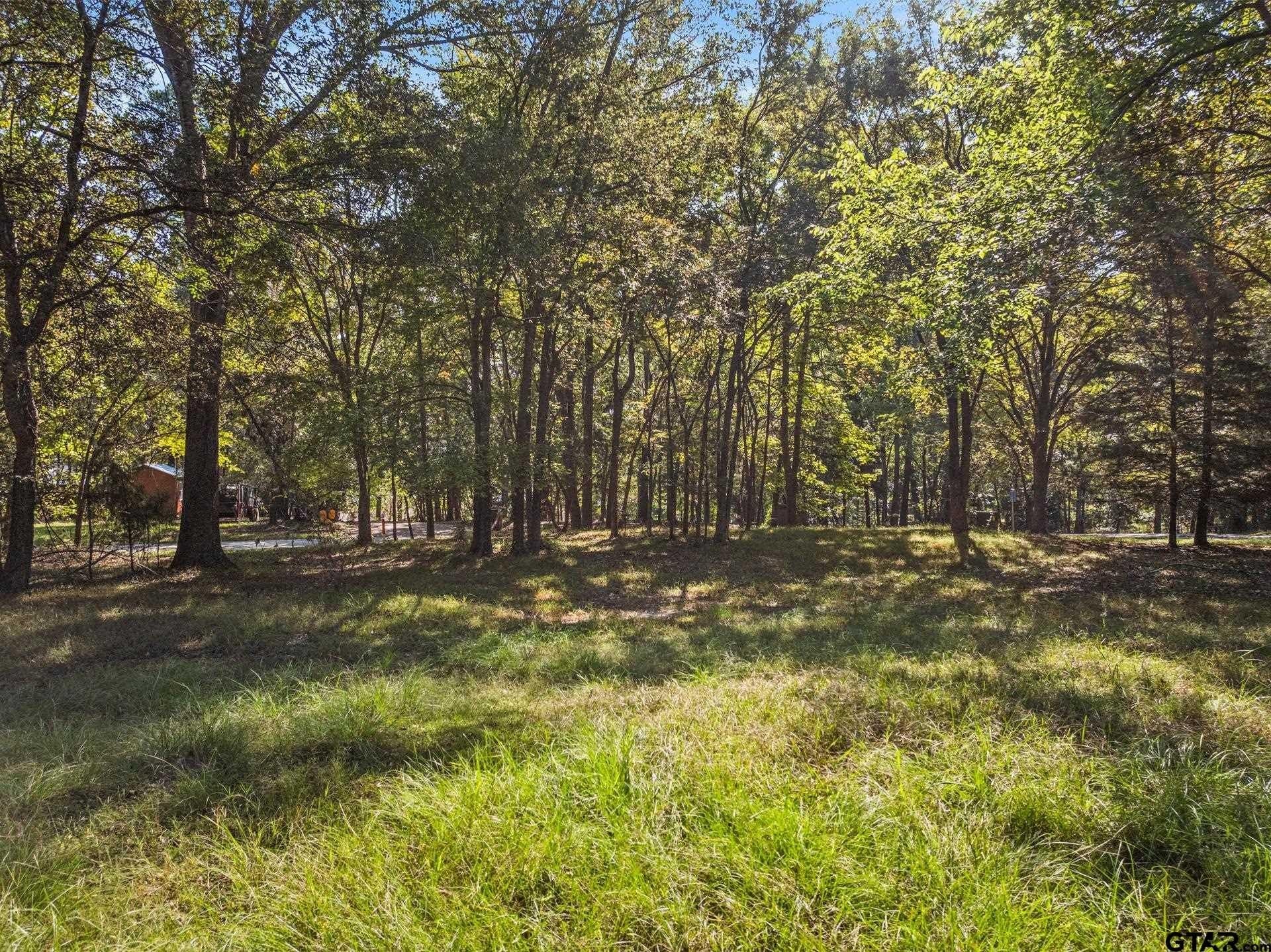 0.96 acres in Camp County - photo 4