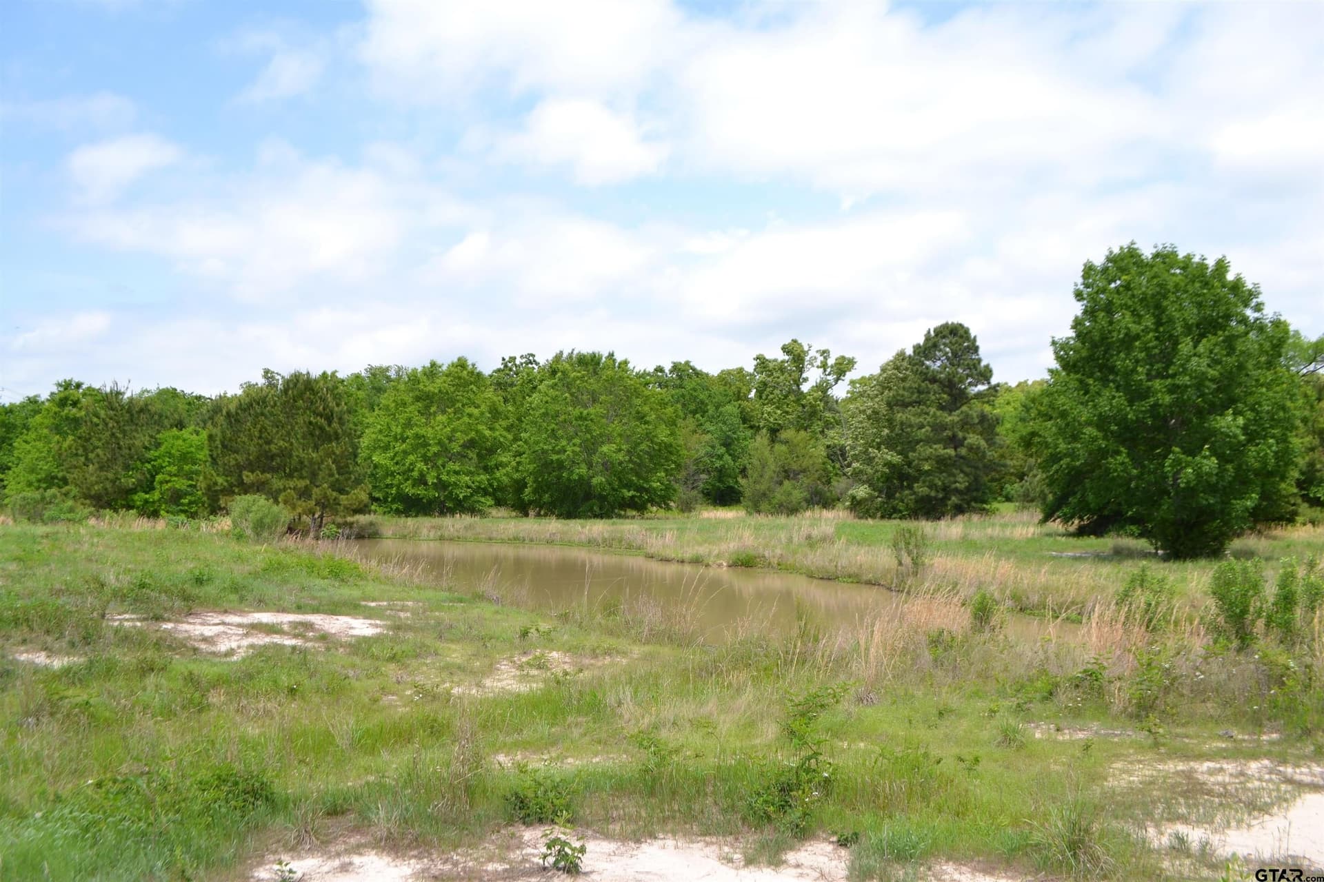 6.4 acres in Wood County - photo 7