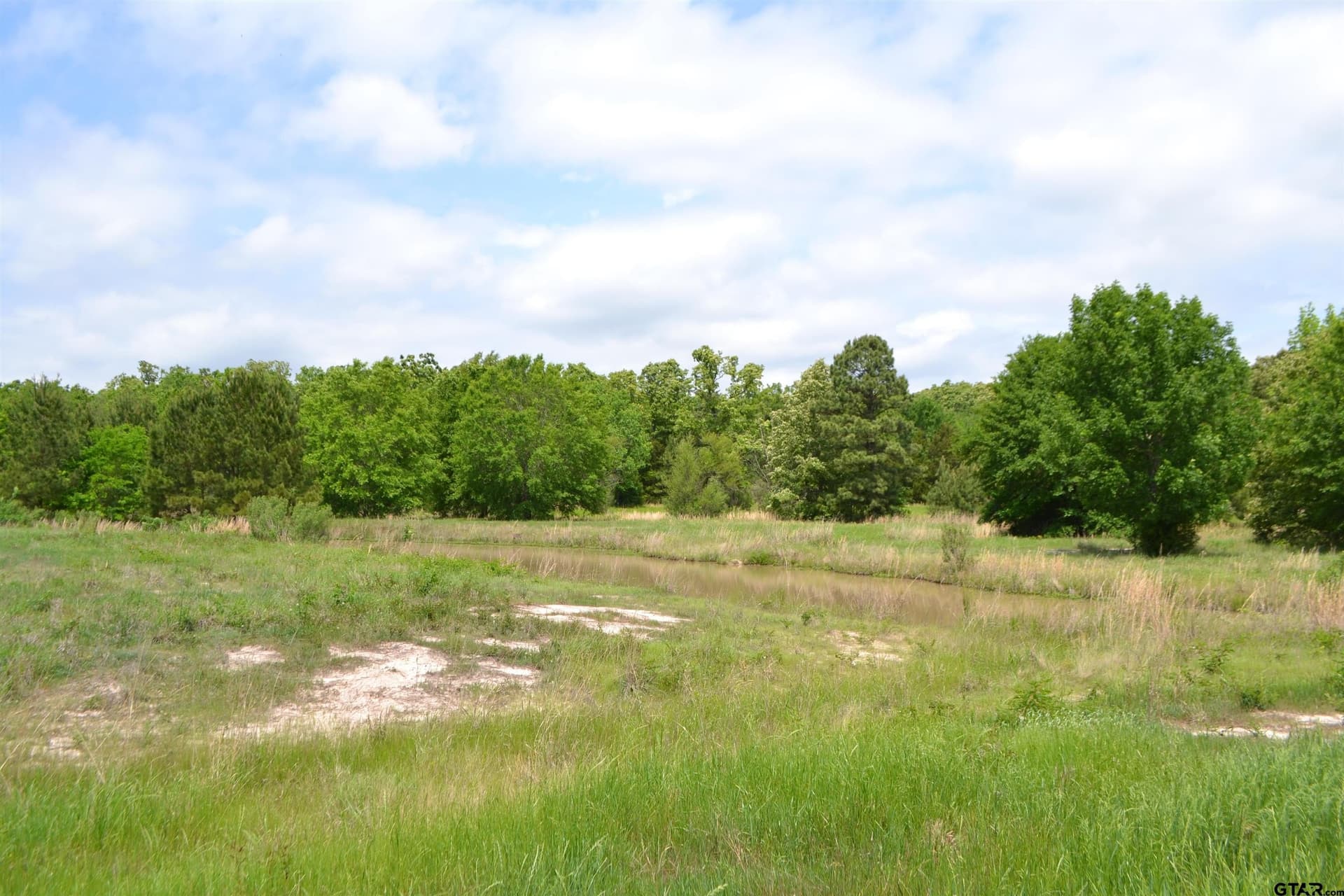 6.4 acres in Wood County - photo 6
