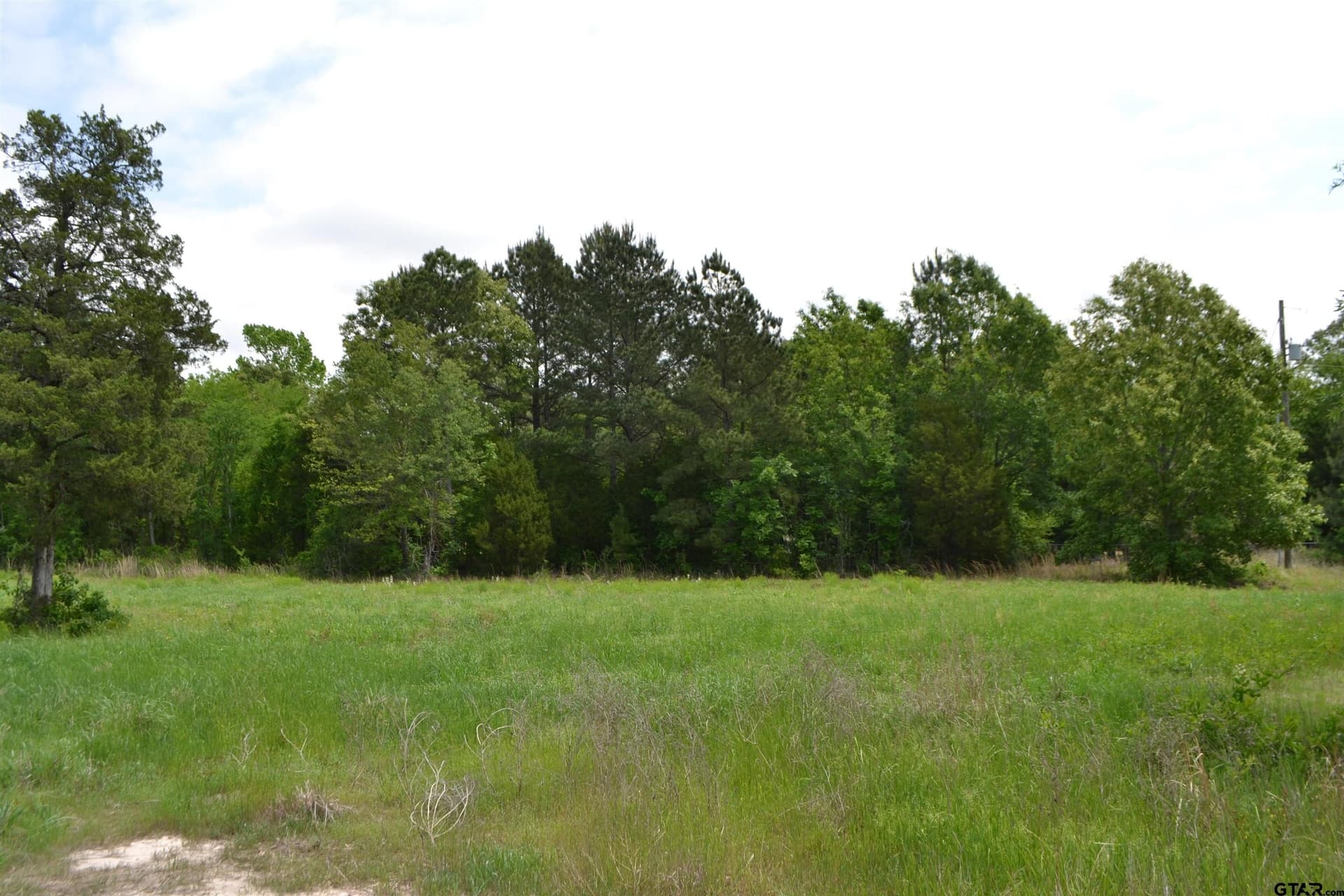 6.4 acres in Wood County - photo 10