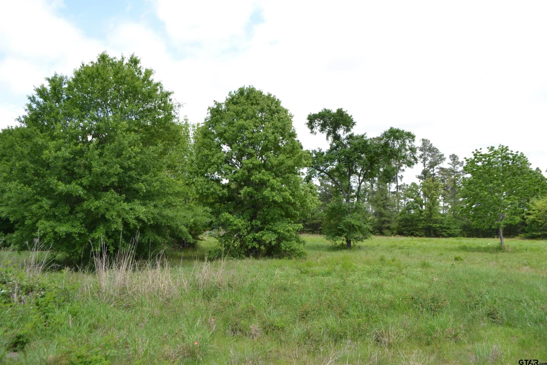 6.4 acres in Wood County - photo 11