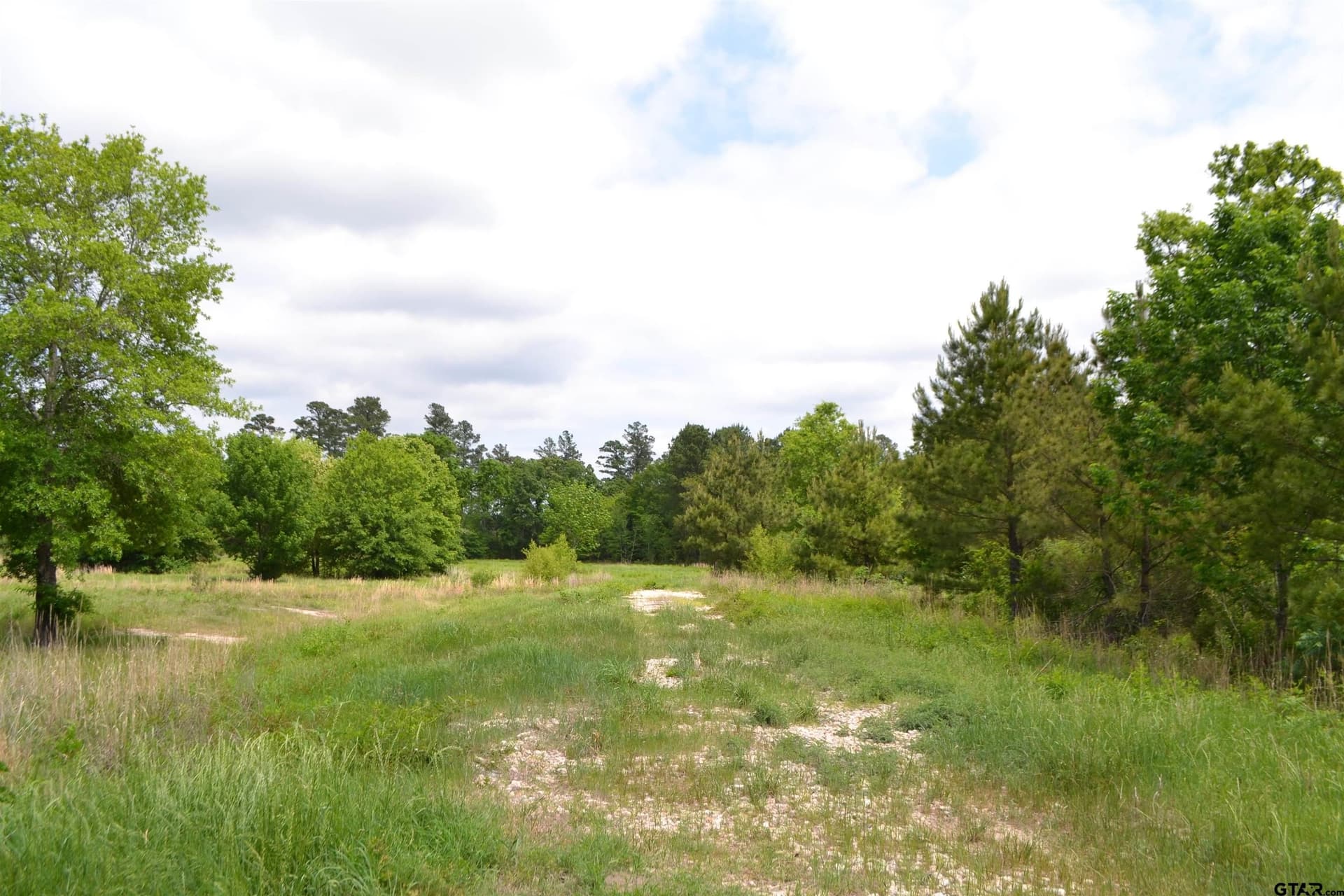 6.4 acres in Wood County - photo 4