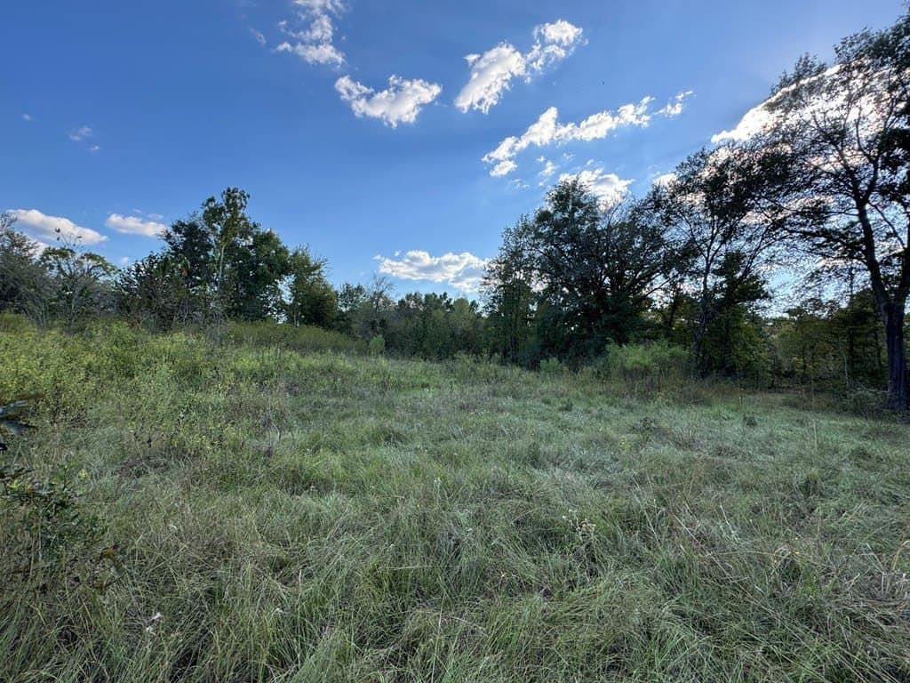 22.09 acres in ANDERSON County - photo 7