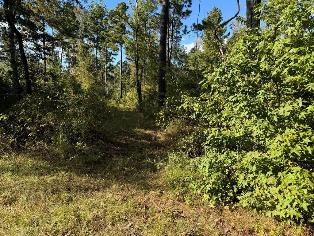 22.09 acres in ANDERSON County - photo 10