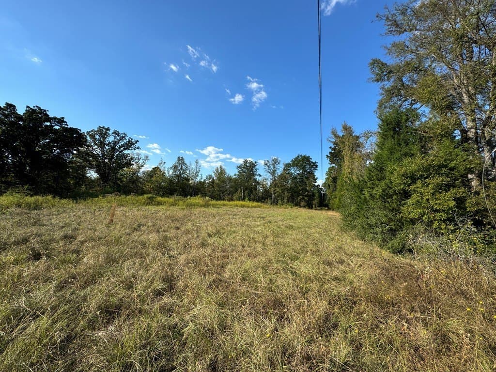 22.09 acres in ANDERSON County - photo 5