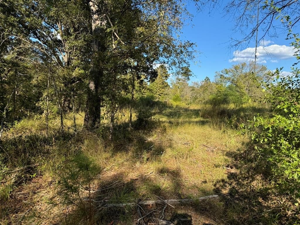 22.09 acres in ANDERSON County - photo 15