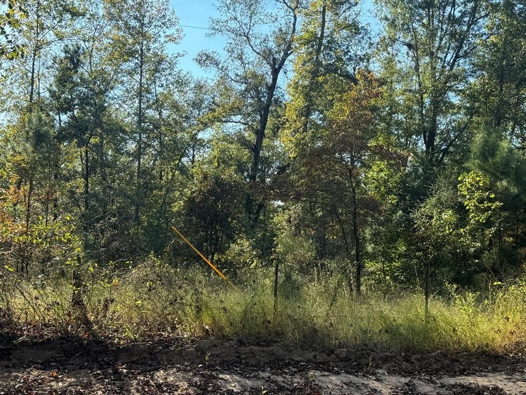 22.09 acres in ANDERSON County - photo 11