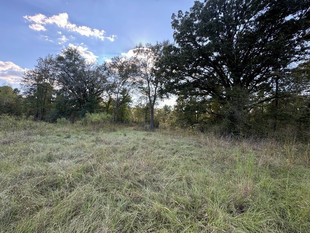 22.09 acres in ANDERSON County - photo 6