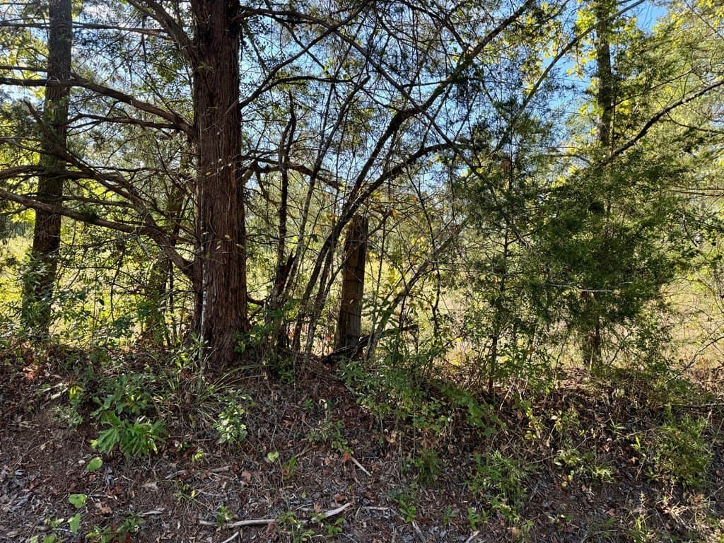 22.09 acres in ANDERSON County - photo 4