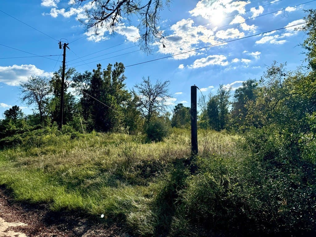 22.09 acres in ANDERSON County - photo 3