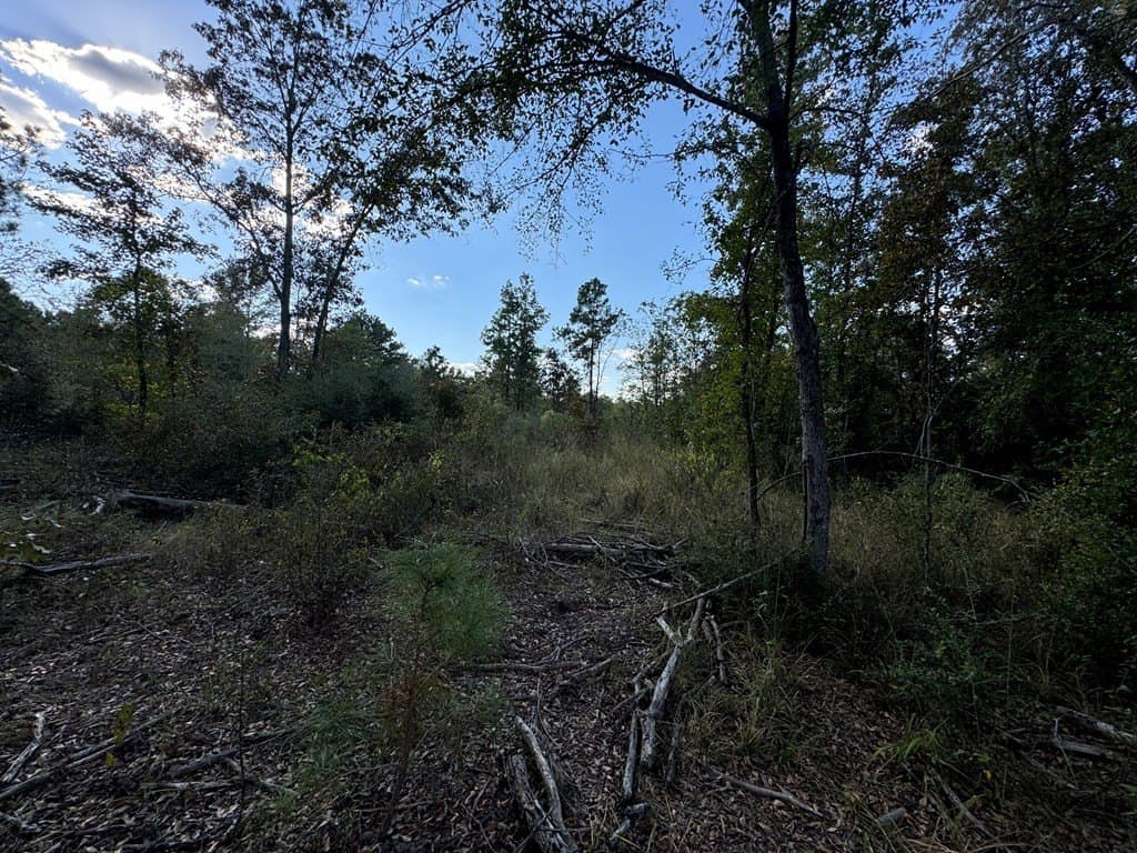 22.09 acres in ANDERSON County - photo 8