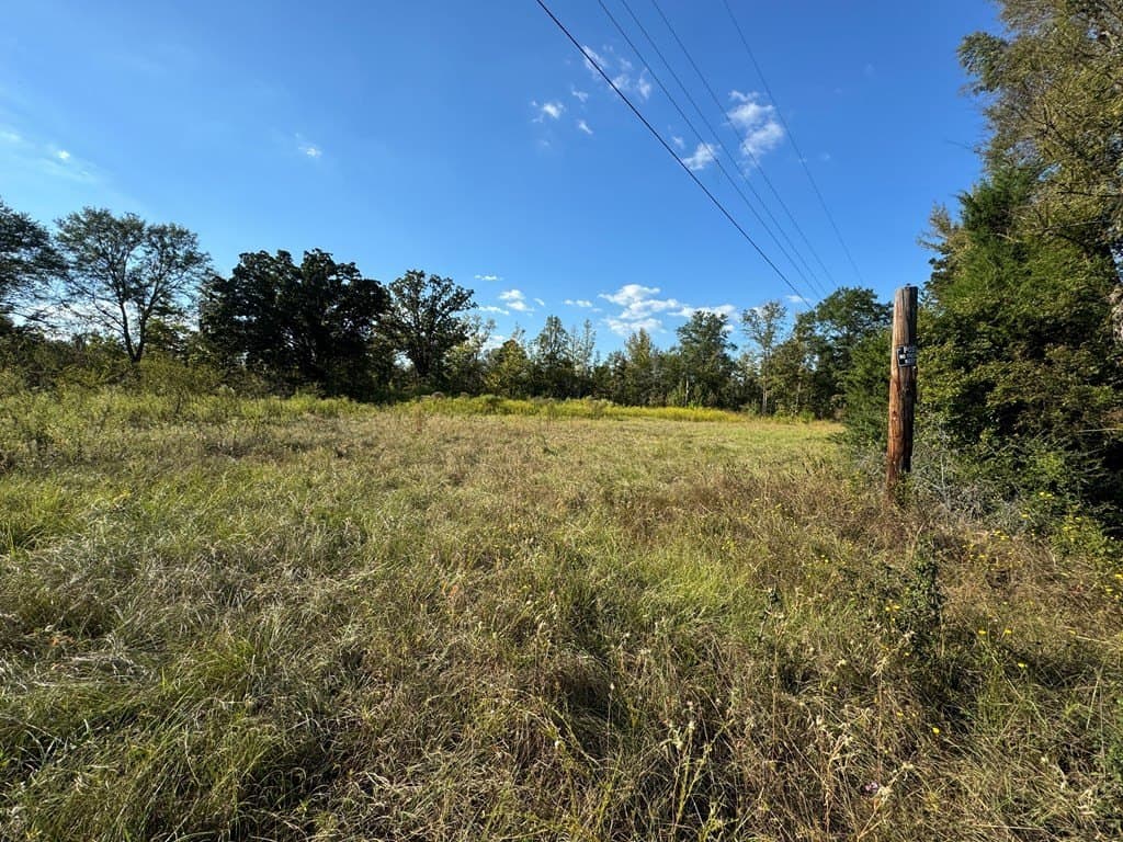 22.09 acres in ANDERSON County - photo 2