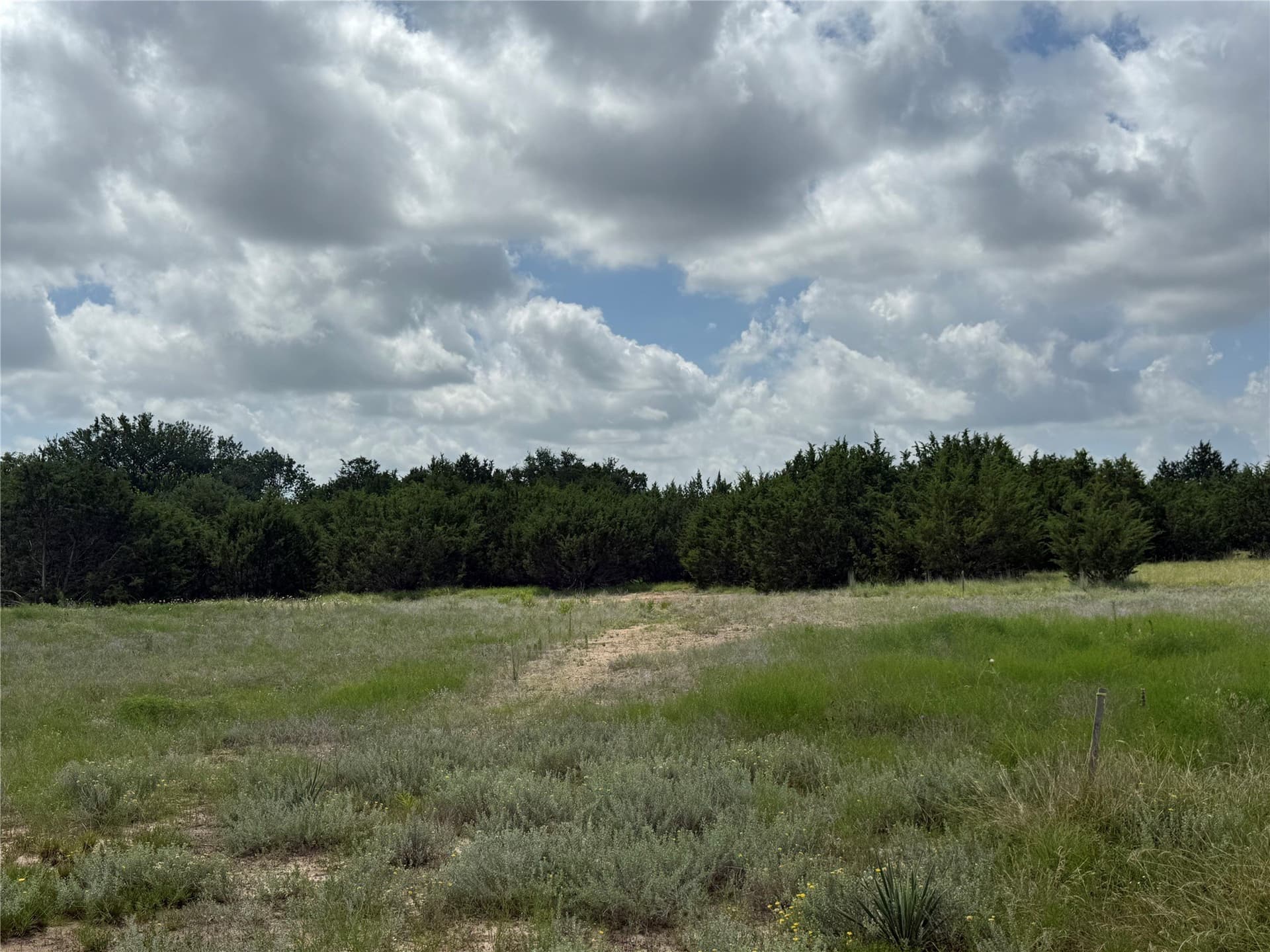 2 acres in Parker County gallery image 4