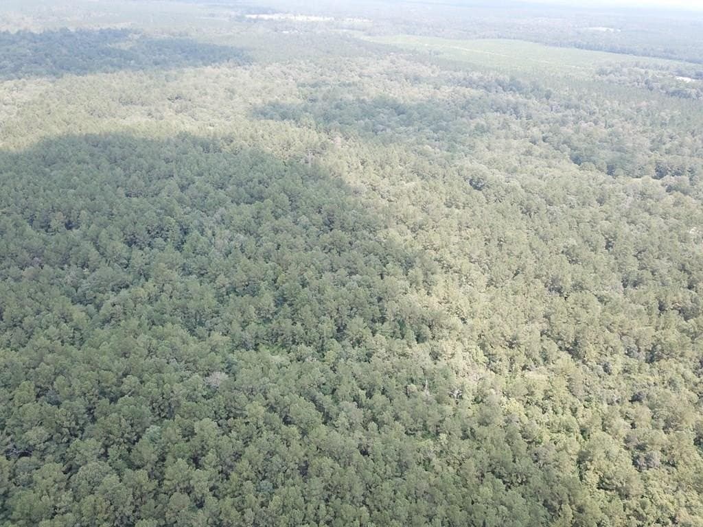 60 acres in Texas County