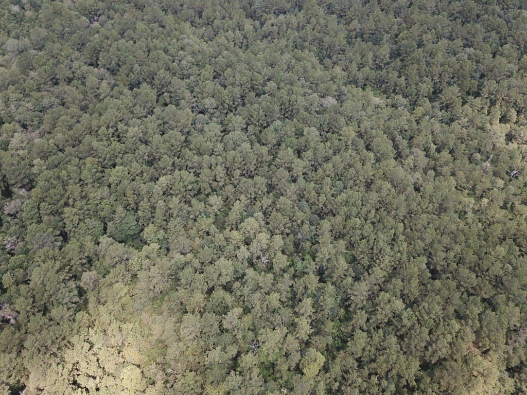 60 acres in Texas County featured view