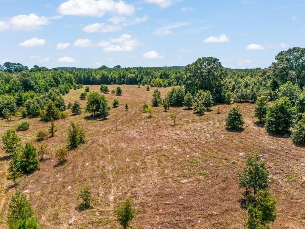 119.74 acres in Upshur County - photo 25