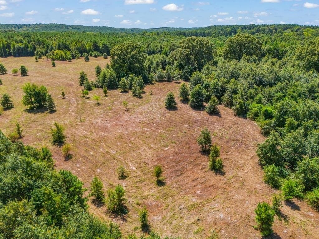 119.74 acres in Upshur County - photo 14