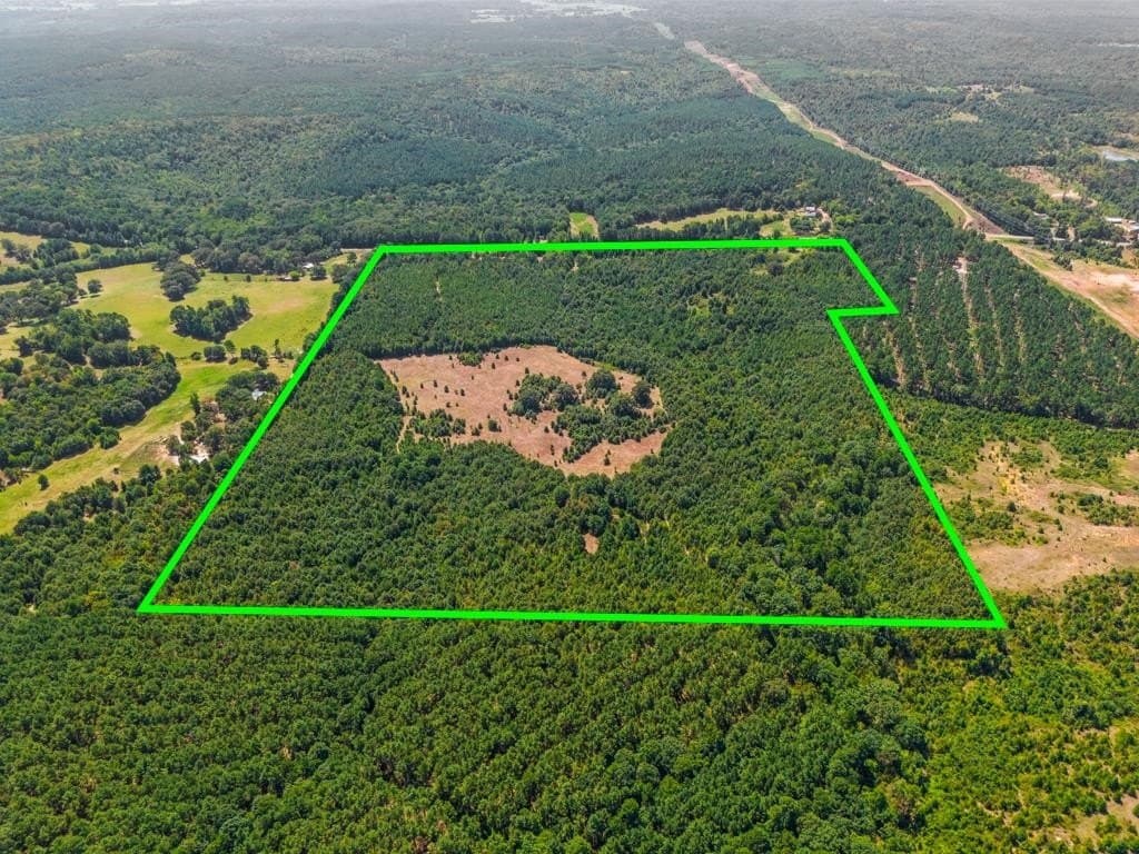 119.74 acres in Upshur County - photo 6