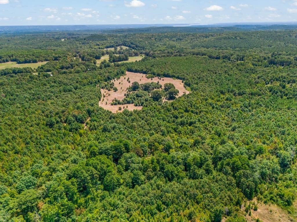 119.74 acres in Upshur County - photo 36