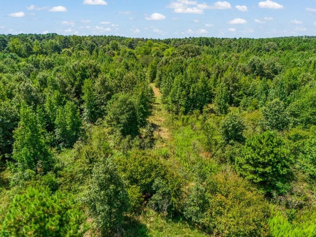 119.74 acres in Upshur County - photo 24