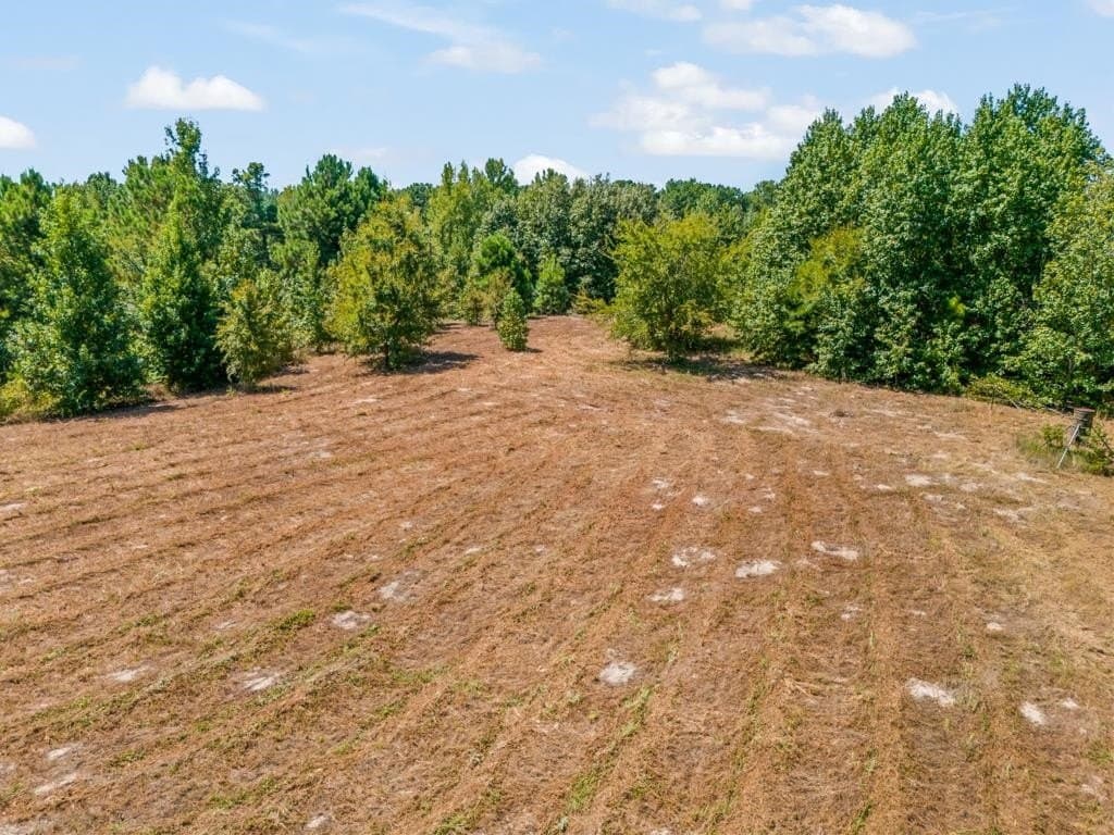 119.74 acres in Upshur County - photo 34