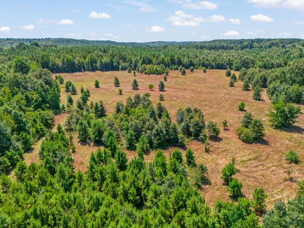 119.74 acres in Upshur County