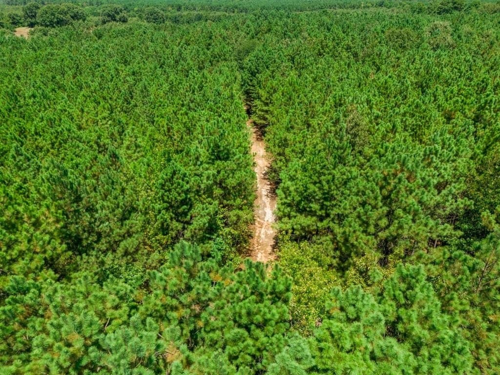 119.74 acres in Upshur County - photo 39