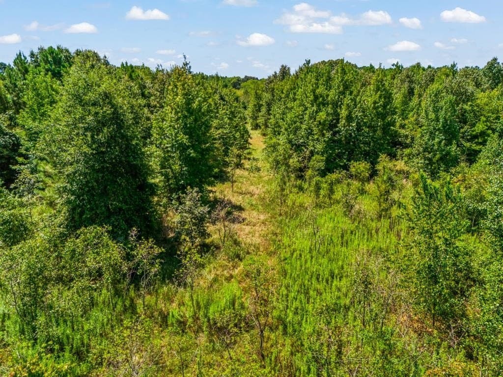 119.74 acres in Upshur County - photo 30
