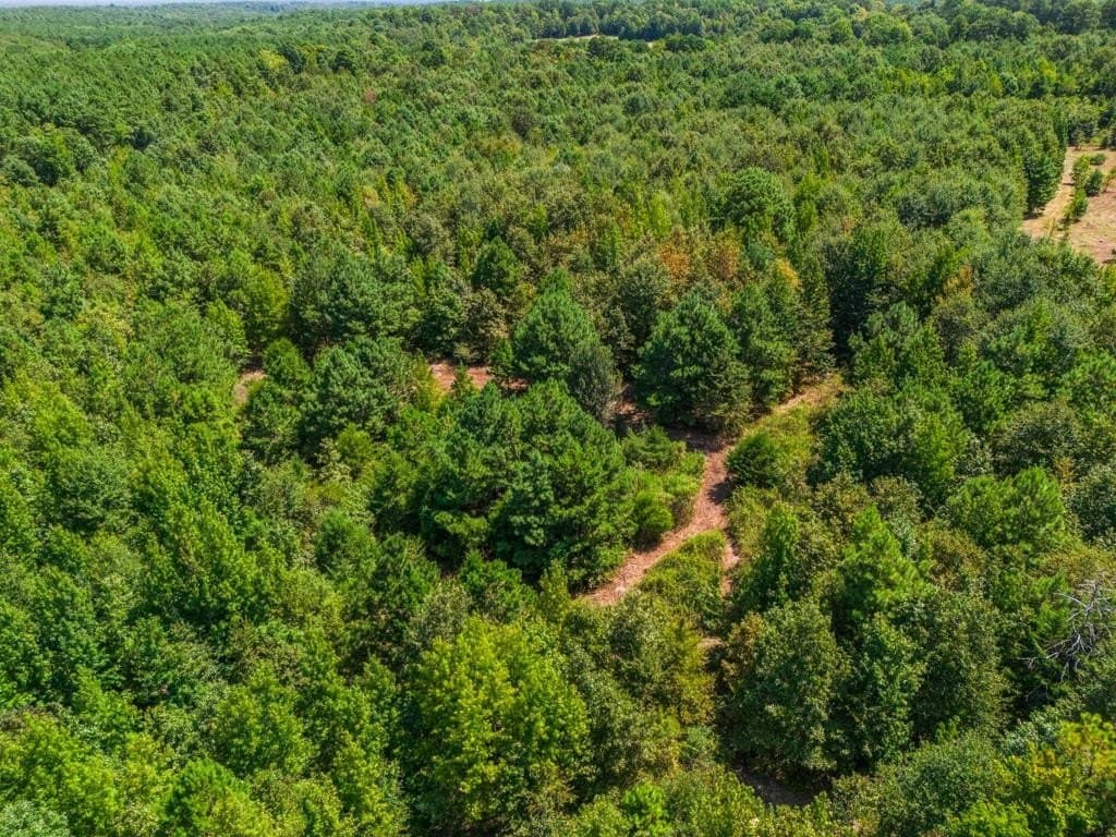 119.74 acres in Upshur County - photo 20