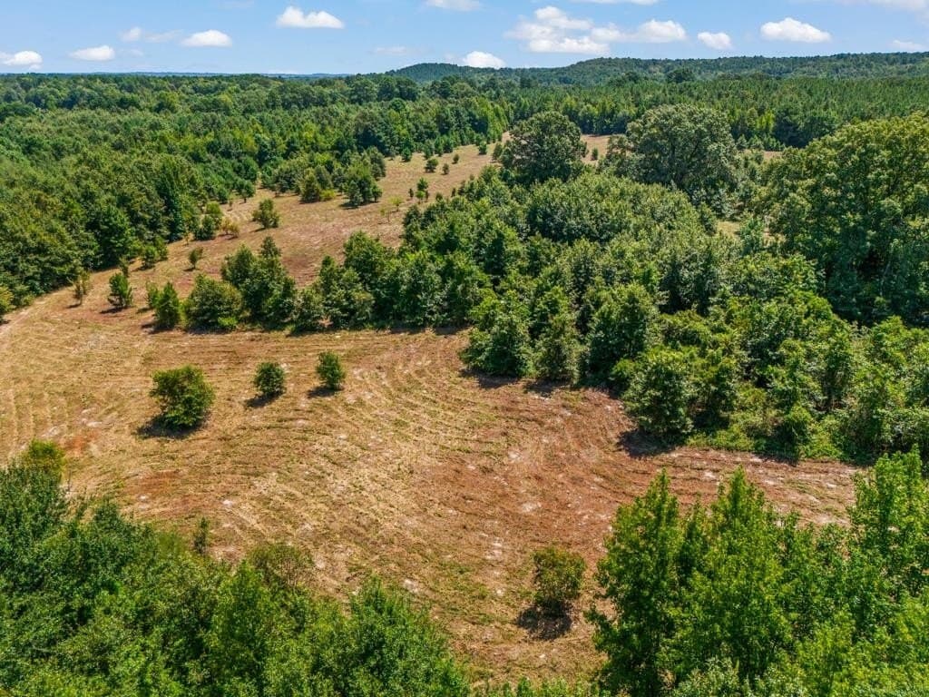 119.74 acres in Upshur County - photo 17