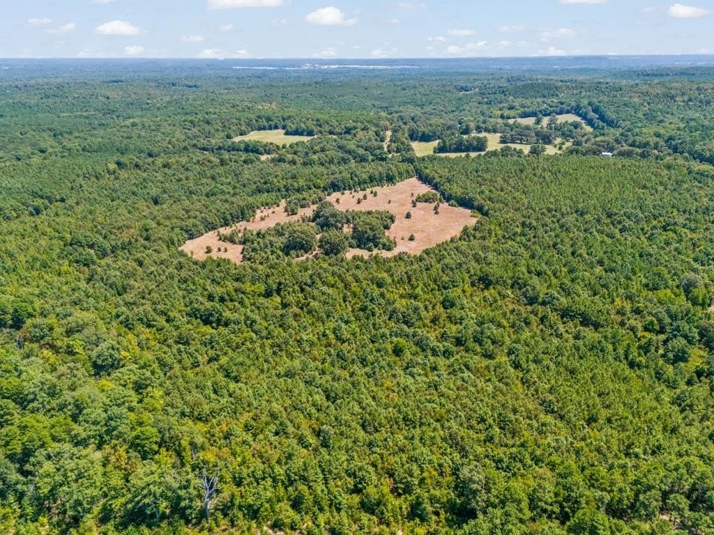 119.74 acres in Upshur County - photo 37