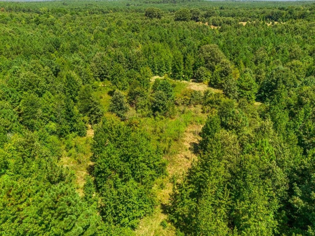 119.74 acres in Upshur County - photo 29