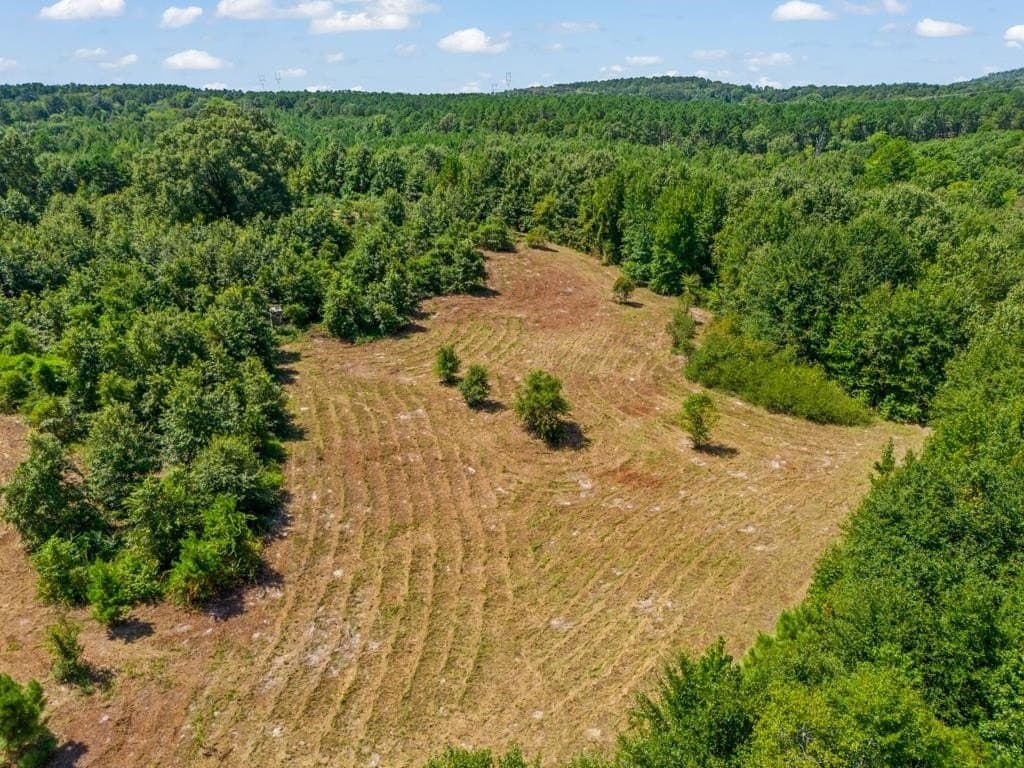 119.74 acres in Upshur County - photo 15