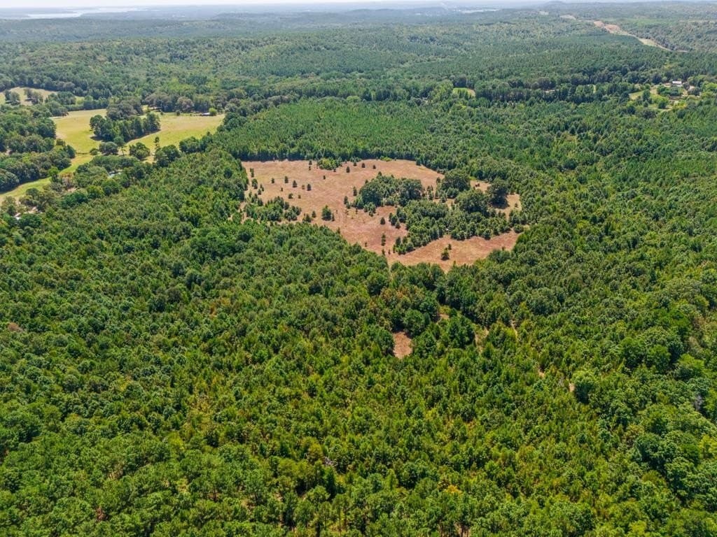 119.74 acres in Upshur County - photo 35
