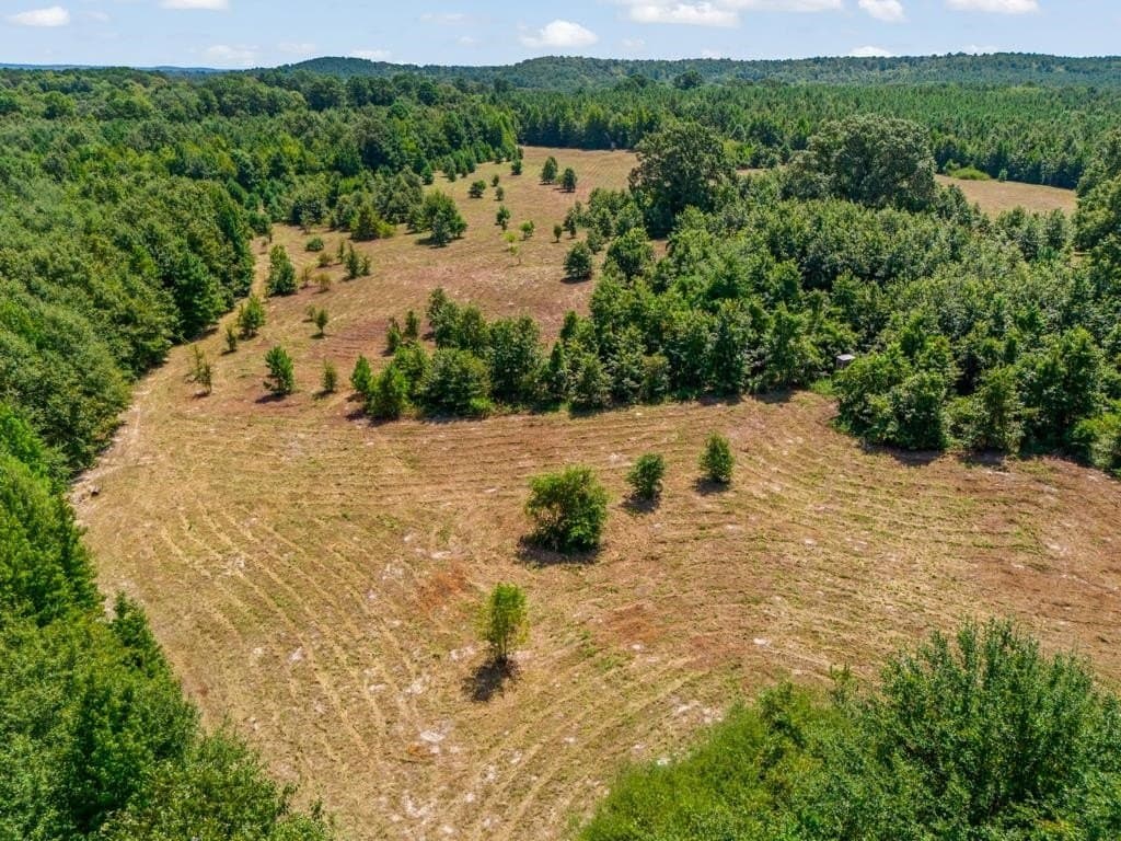 119.74 acres in Upshur County - photo 16