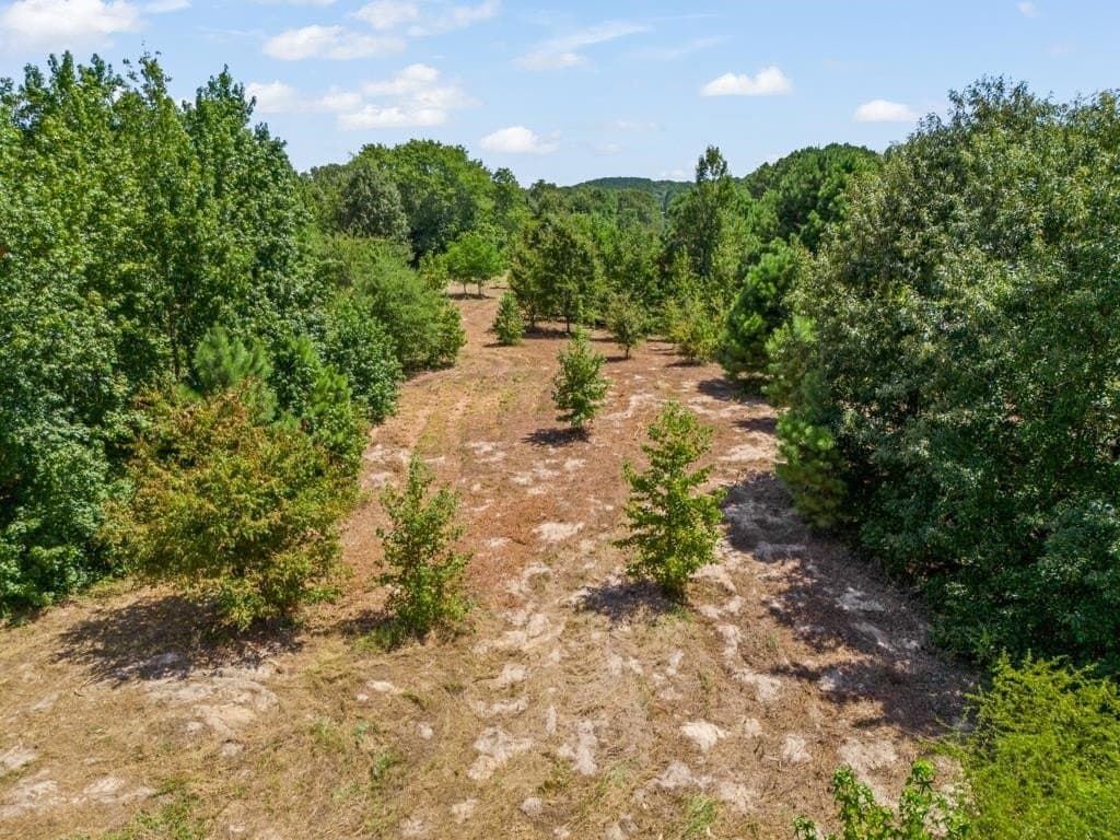 119.74 acres in Upshur County - photo 33