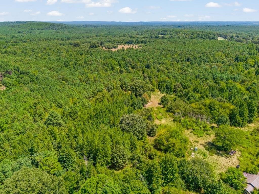 119.74 acres in Upshur County - photo 31