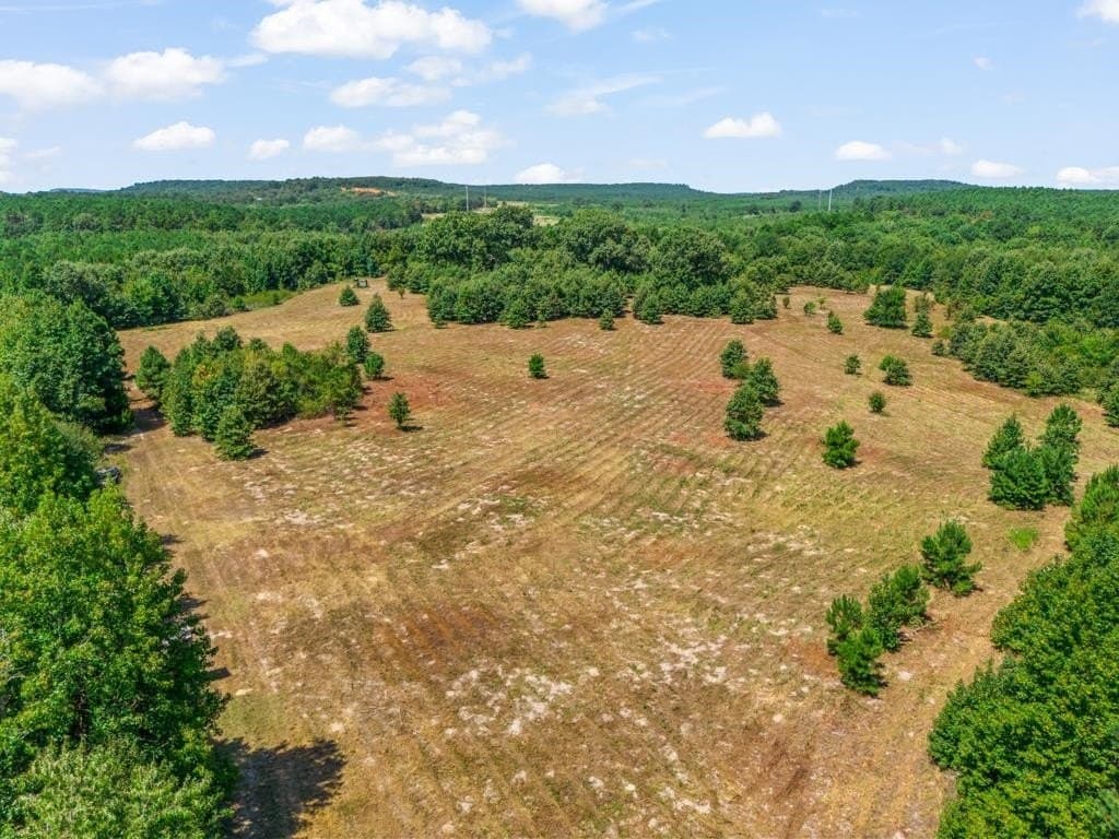119.74 acres in Upshur County - photo 12