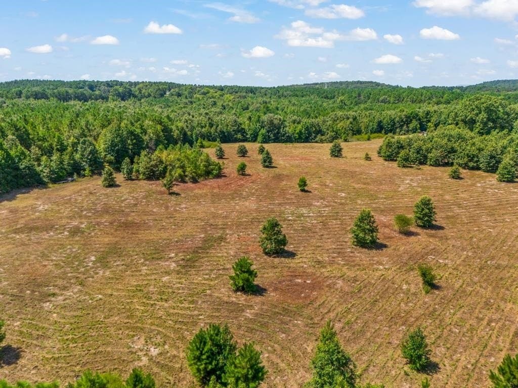 119.74 acres in Upshur County - photo 13