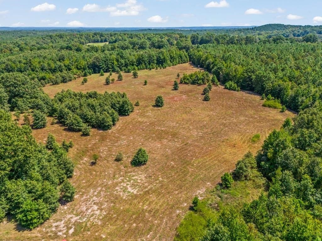 119.74 acres in Upshur County - photo 19