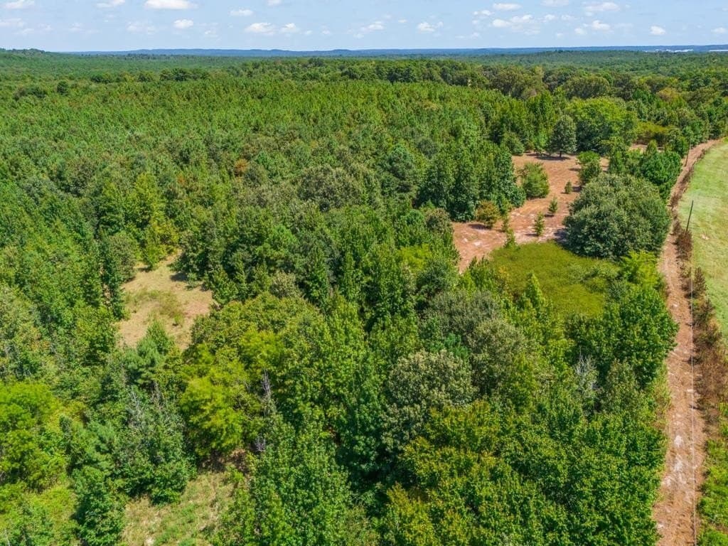 119.74 acres in Upshur County - photo 32