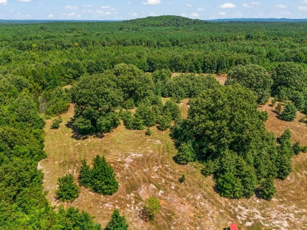 119.74 acres in Upshur County - photo 18