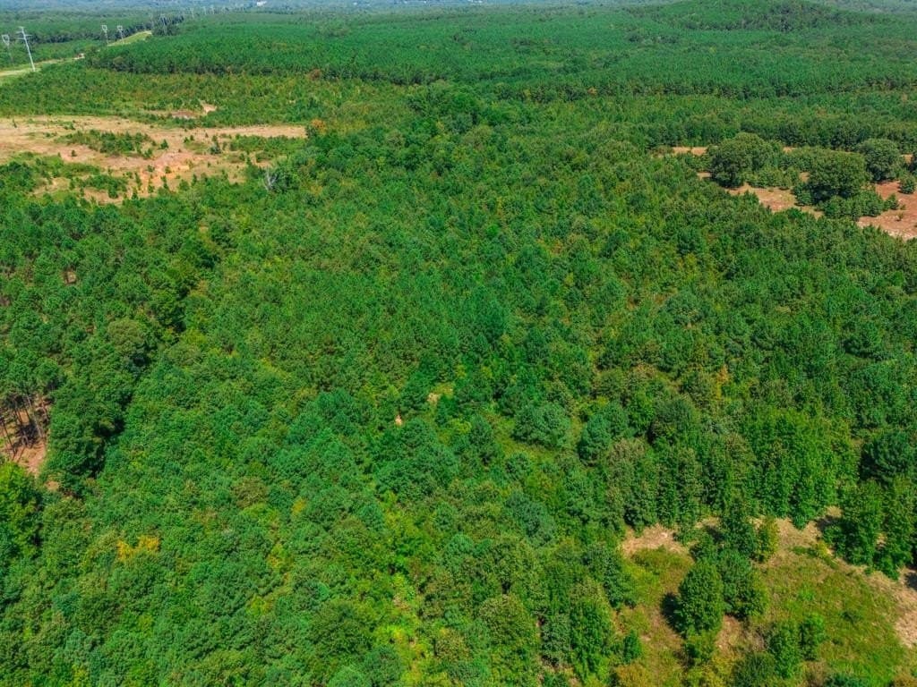 119.74 acres in Upshur County - photo 38
