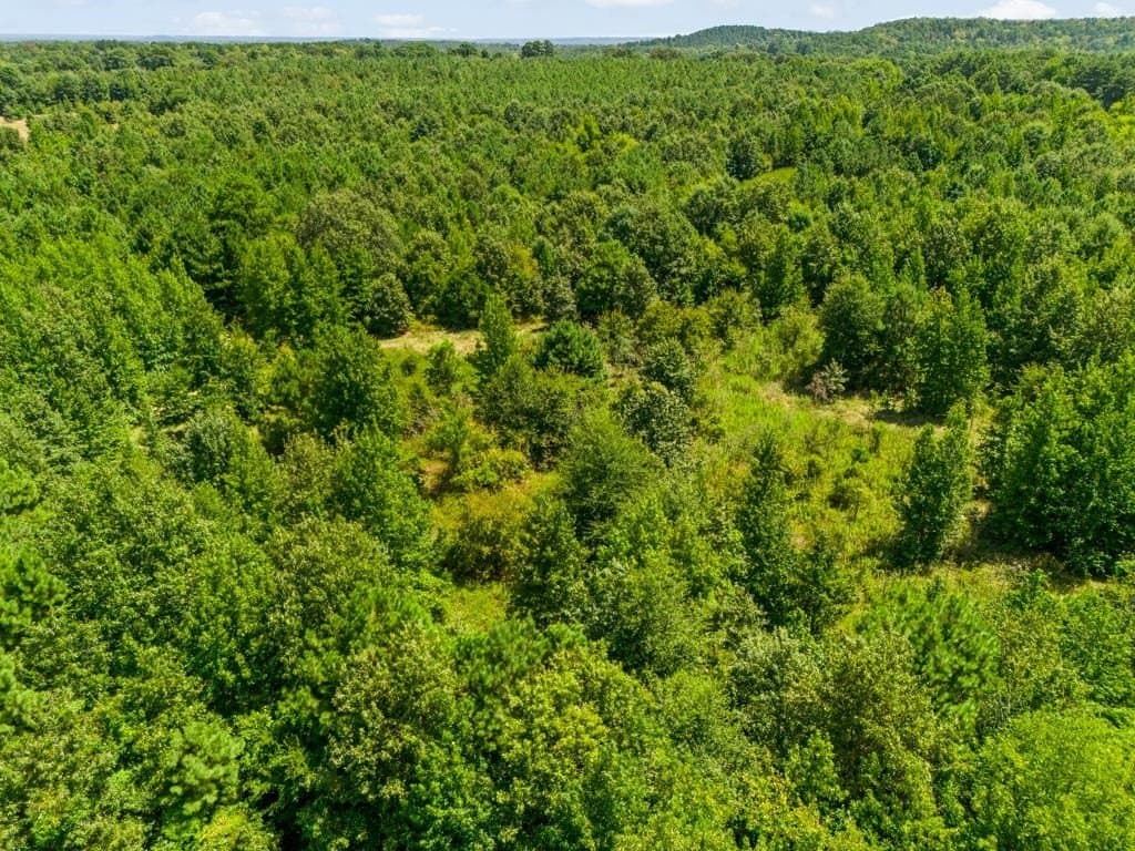 119.74 acres in Upshur County - photo 28