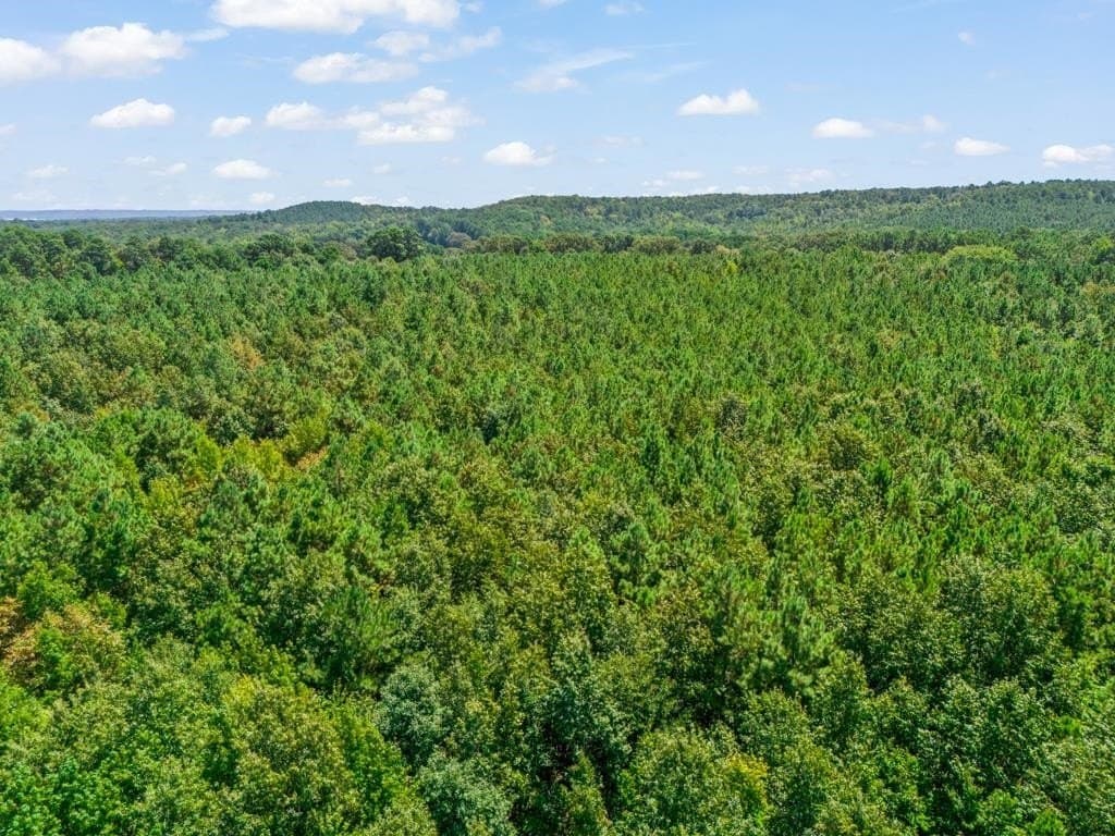 119.74 acres in Upshur County - photo 27