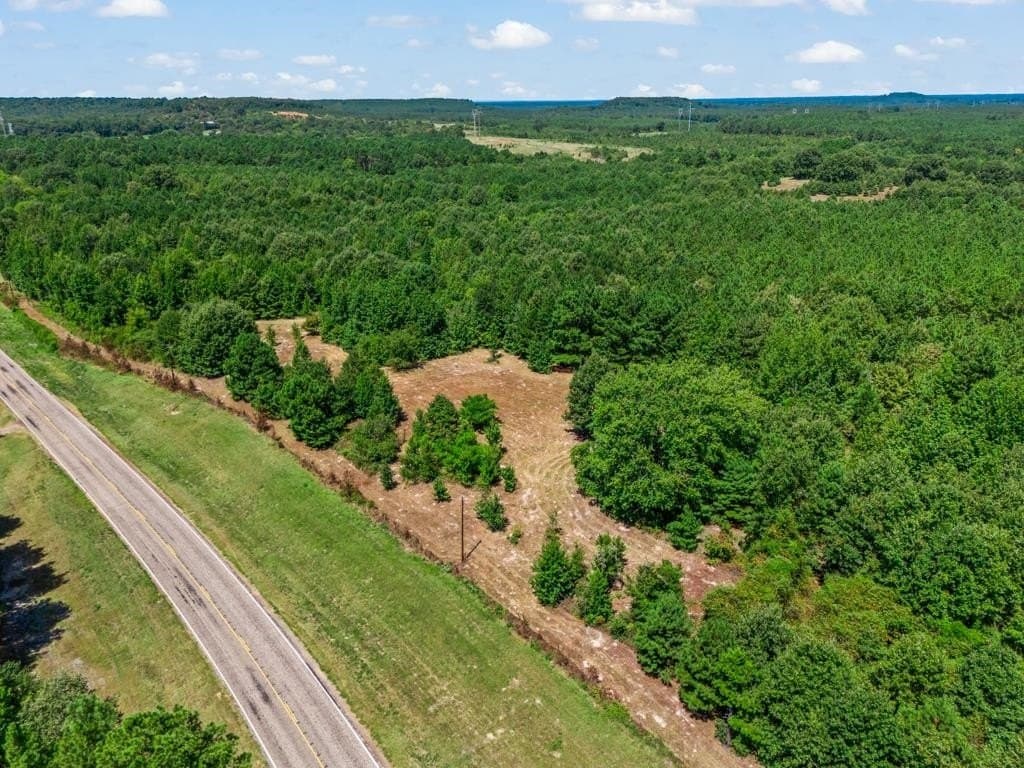 119.74 acres in Upshur County - photo 11